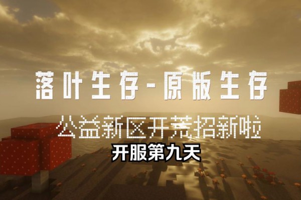 深入剖析奇迹公益服：独特服务体验、玩家收益与潜在风险